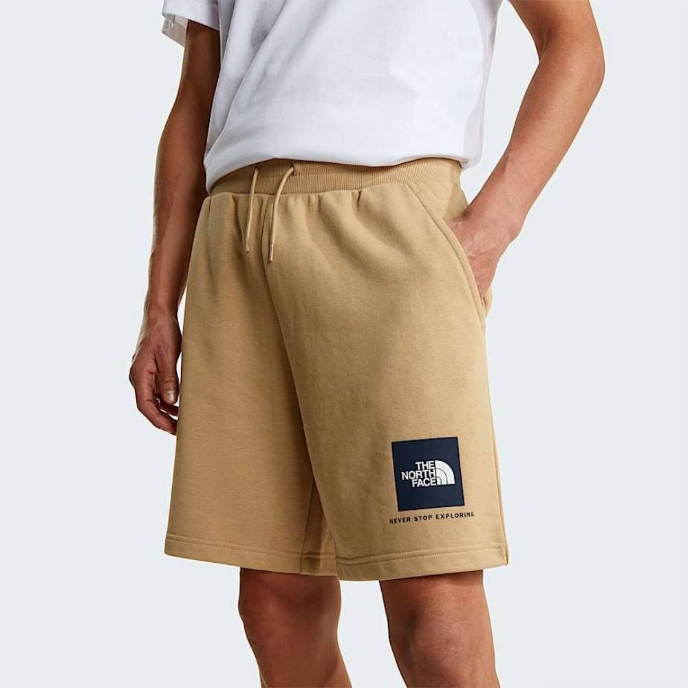 THE NORTH FACE M BOX NSE LIGHT REGULAR SHORTS