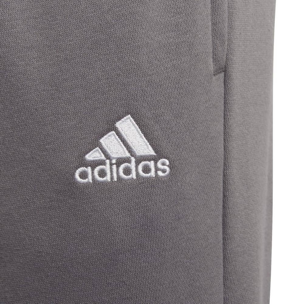 ADIDAS ENT22 SW PNTY
