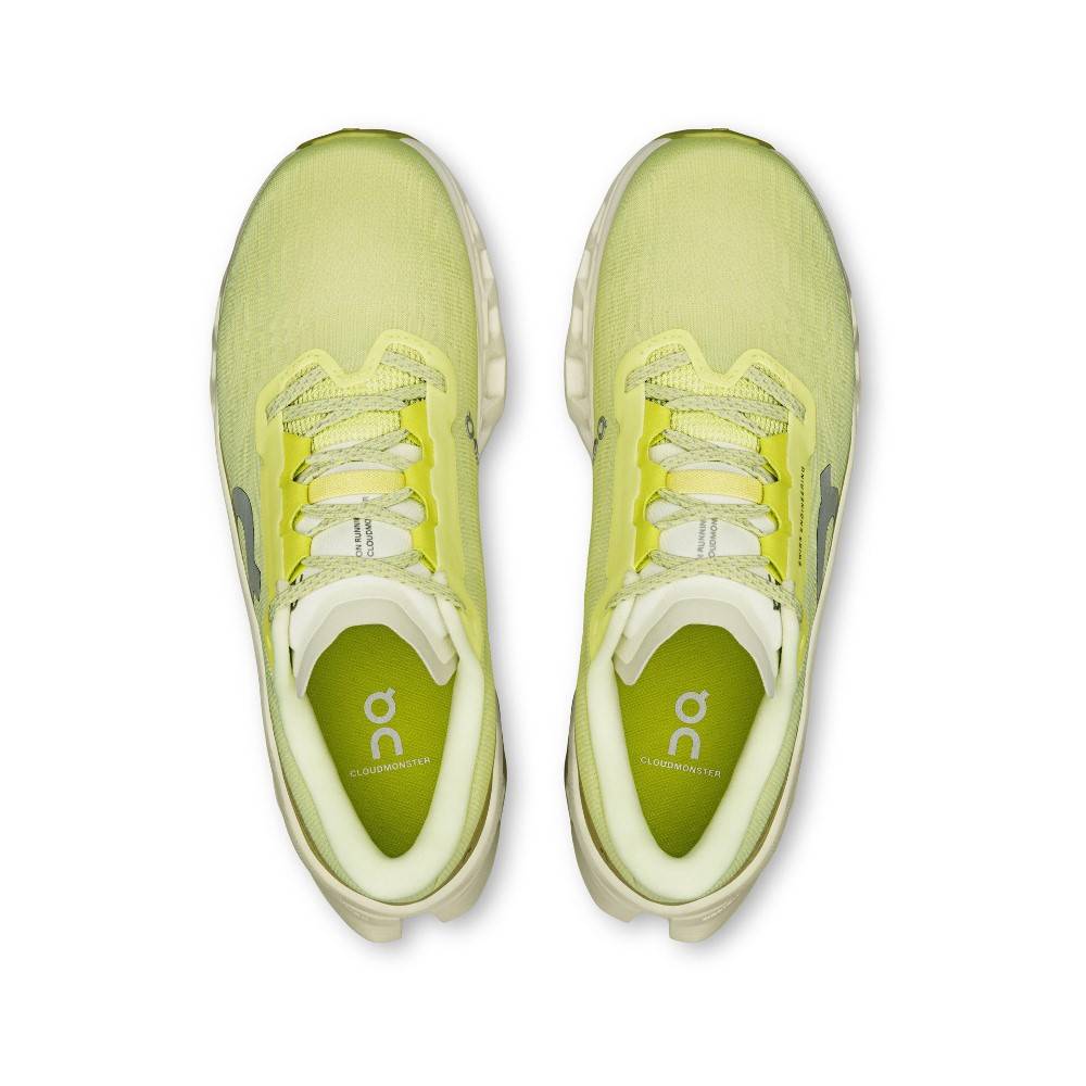 ON RUNNING CLOUDMONSTER 3 M