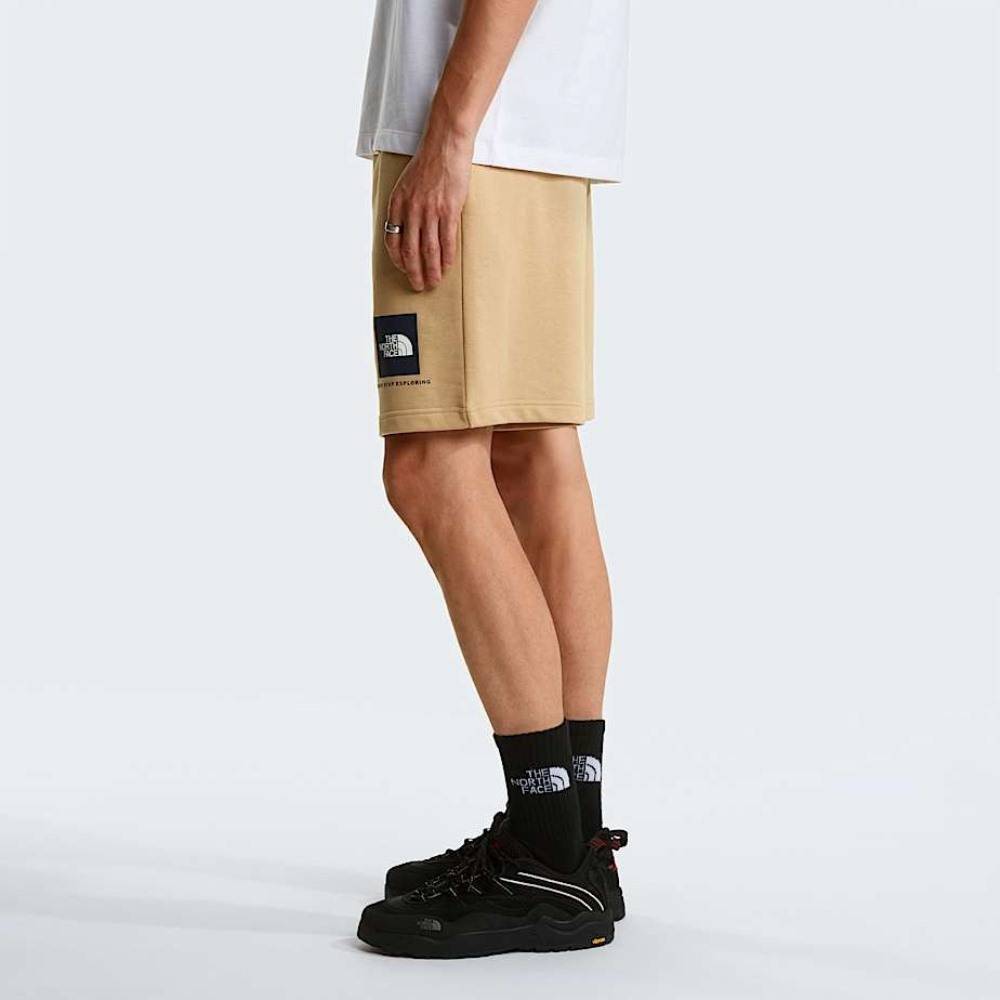 THE NORTH FACE M BOX NSE LIGHT REGULAR SHORTS
