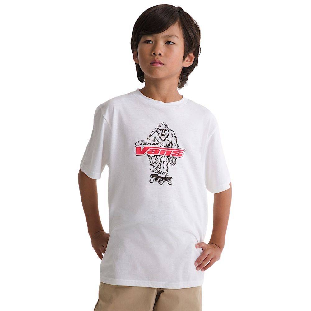 VANS TEEN BIG PUSH SS TEE