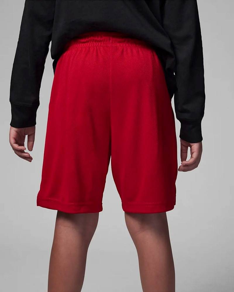 NIKE JORDAN ESSENTIALS GRAPHIC MESH SHORT