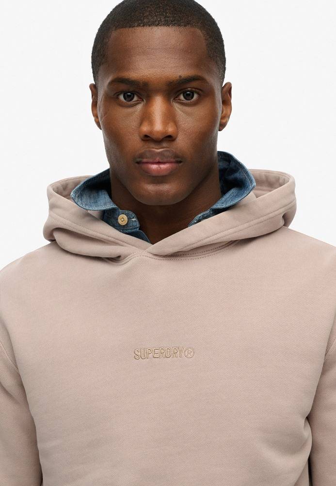 SUPERDRY MICRO LOGO HOOD