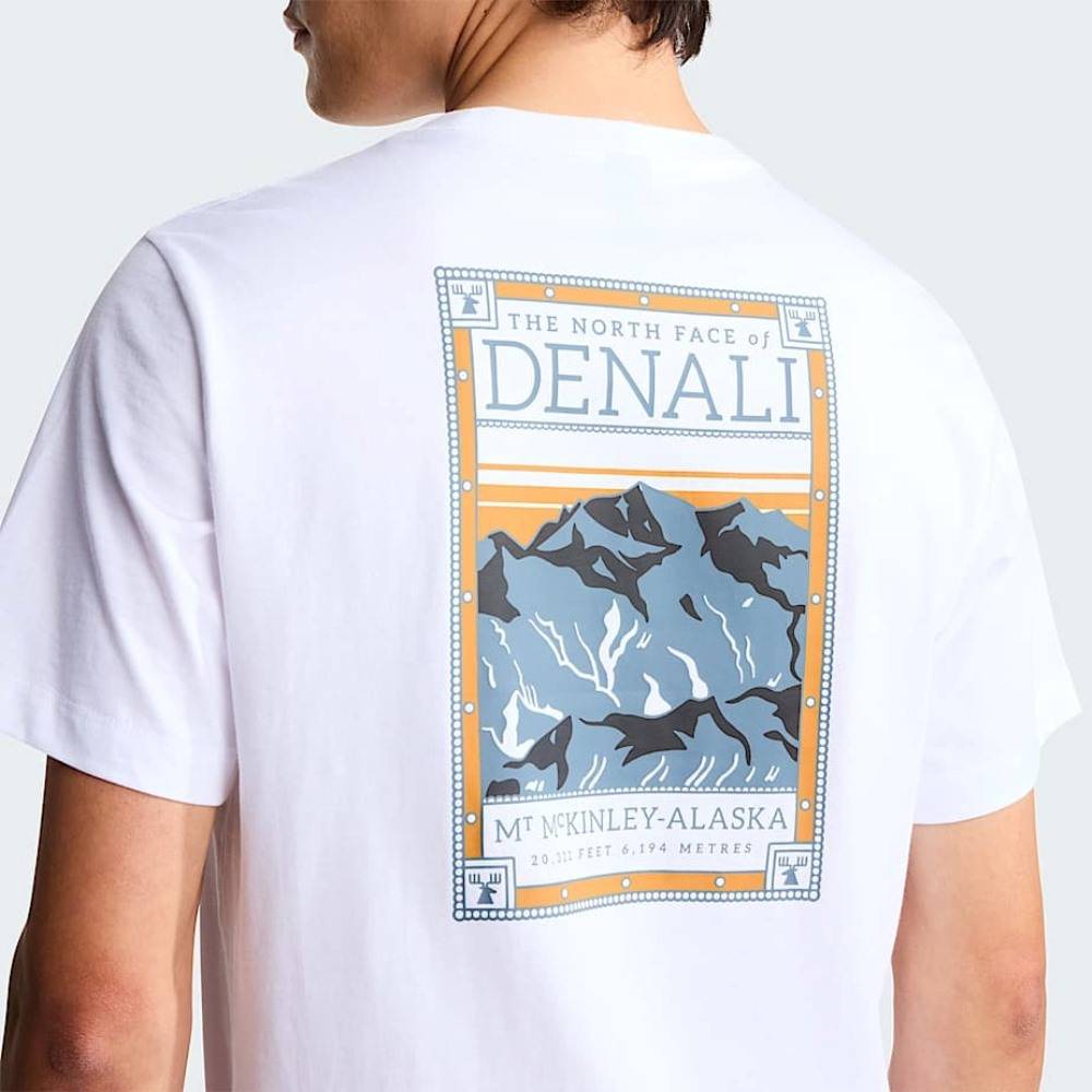 THE NORTH FACE M NORTH FACES REGULAR SHORT SLEEVE TEE GRAPHIC
