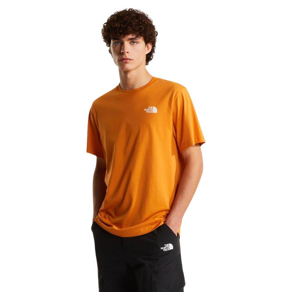 THE NORTH FACE M EVOLUTION BOX NSE REGULAR SHORT SLEEVE TEE