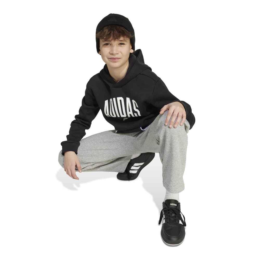 ADIDAS YOUTH SEASONALS ESSENTIALS COLLEGIATE TYPOGRAPHY HOODY