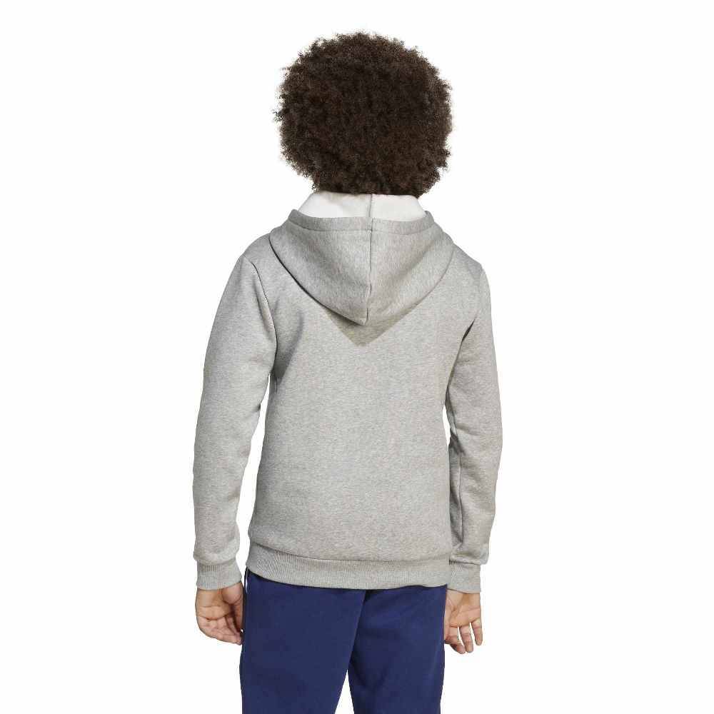 ADIDAS YOUTH SEASONALS ESSENTIALS COLLEGIATE TYPOGRAPHY HOODY