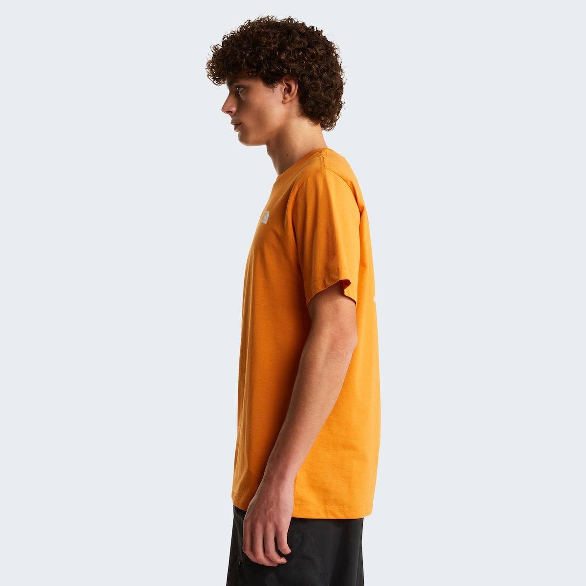 THE NORTH FACE M EVOLUTION BOX NSE REGULAR SHORT SLEEVE TEE