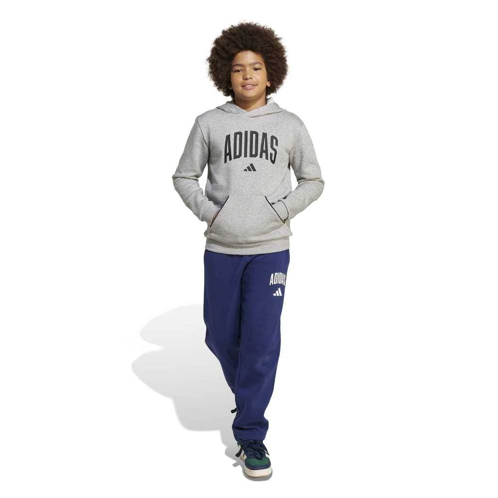 ADIDAS YOUTH SEASONALS ESSENTIALS COLLEGIATE TYPOGRAPHY HOODY
