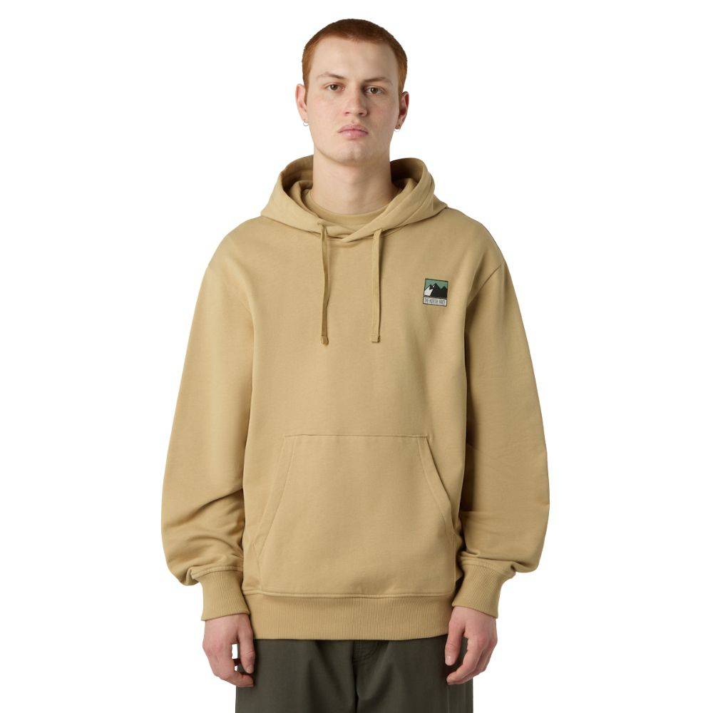 THE NORTH FACE M MOUNTAIN LOGO RELAXED HOODIE