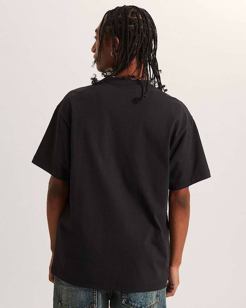 VANS PUPPY LOOSE SS TEE