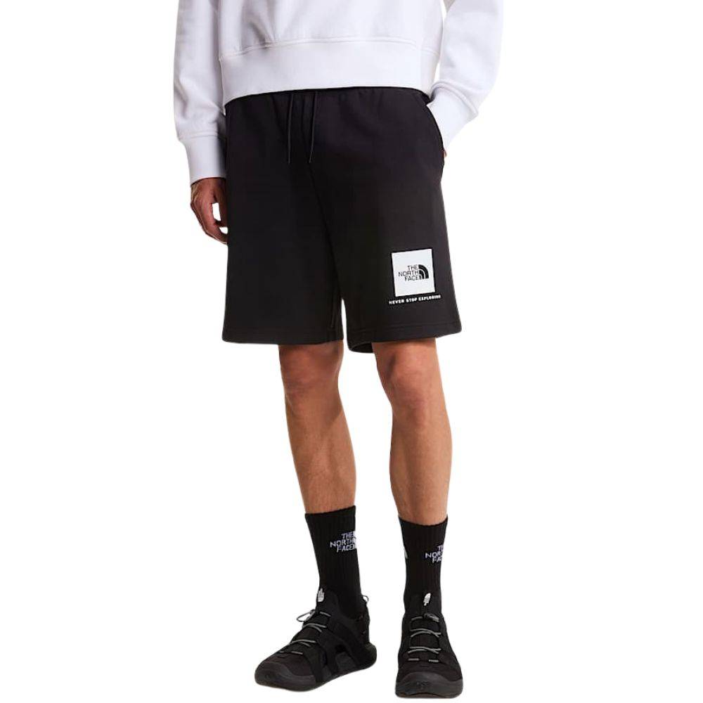 THE NORTH FACE M BOX NSE LIGHT REGULAR SHORTS