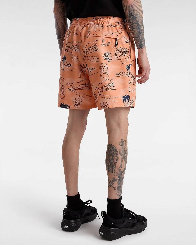 VANS PRIMARY PRINT ELASTIC BOARDSHORT