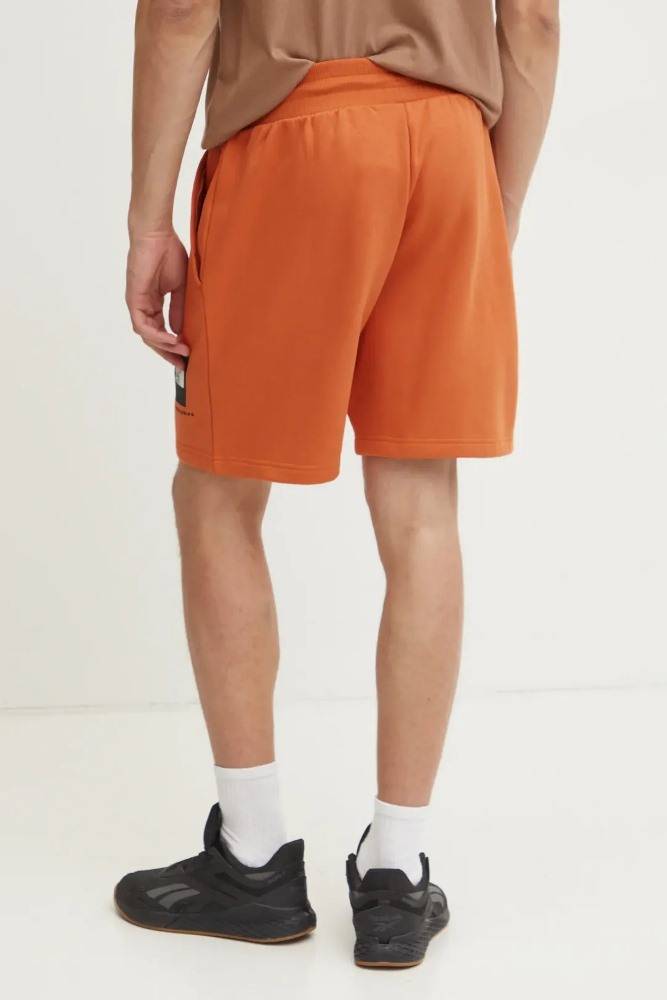 THE NORTH FACE M BOX NSE REGULAR SHORT