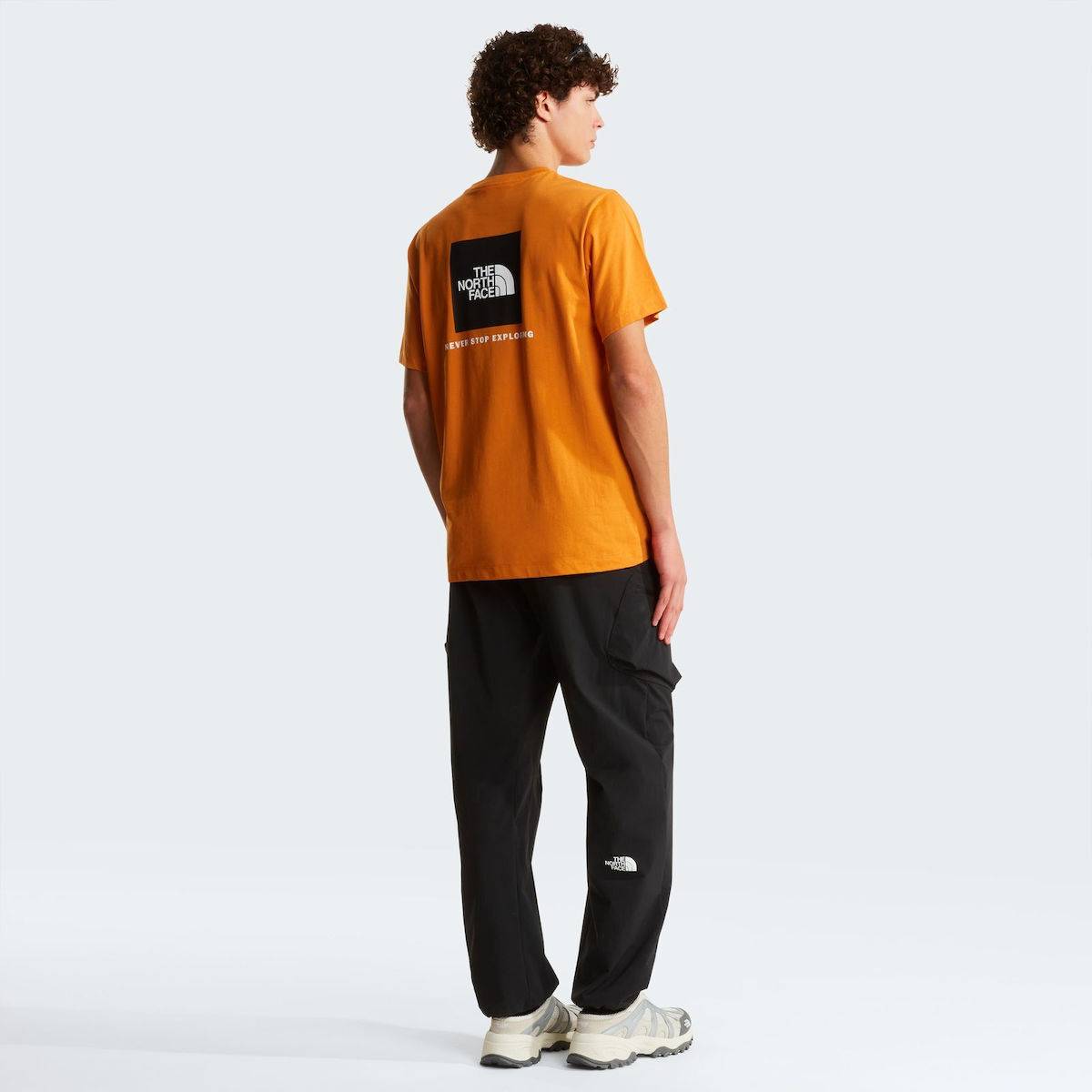 THE NORTH FACE M EVOLUTION BOX NSE REGULAR SHORT SLEEVE TEE