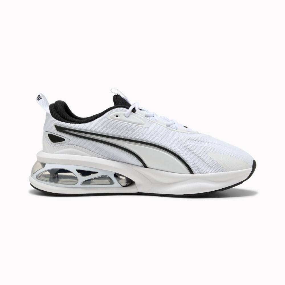 PUMA CELL SOLAR
