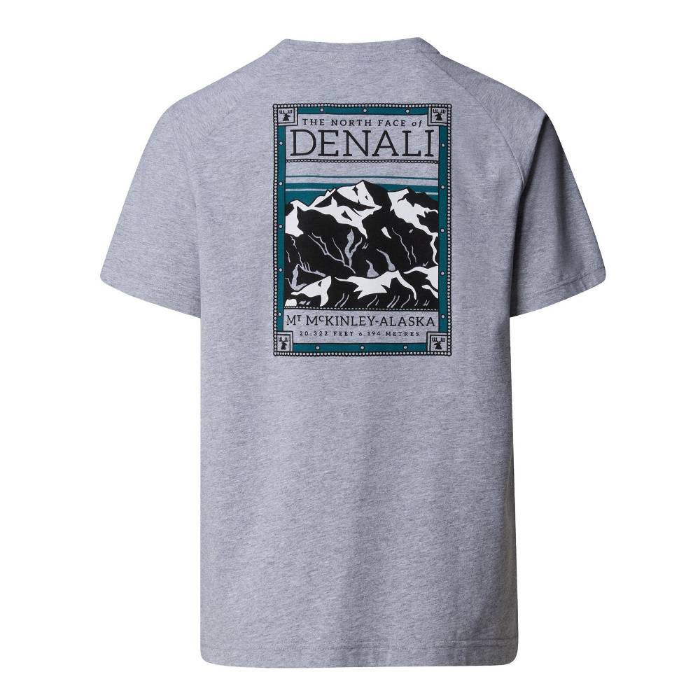 THE NORTH FACE M SS NORTH FACES TEE