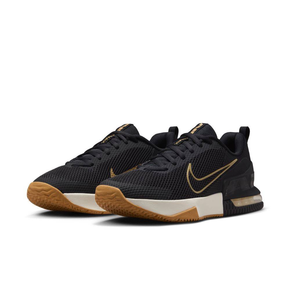 NIKE AIR MAX ALPHA TRAINER 6