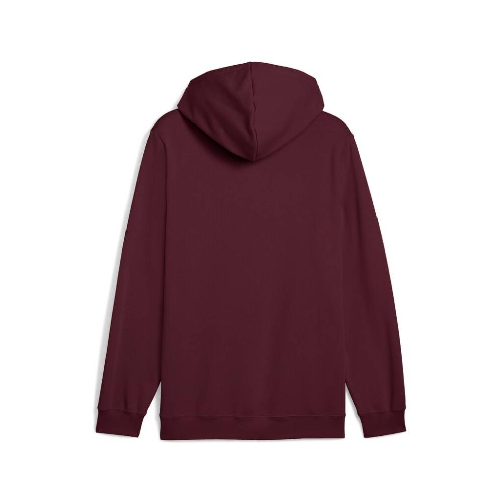 PUMA ESS 2 COLOR SMALL NO. 1 LOGO HOODIE FL