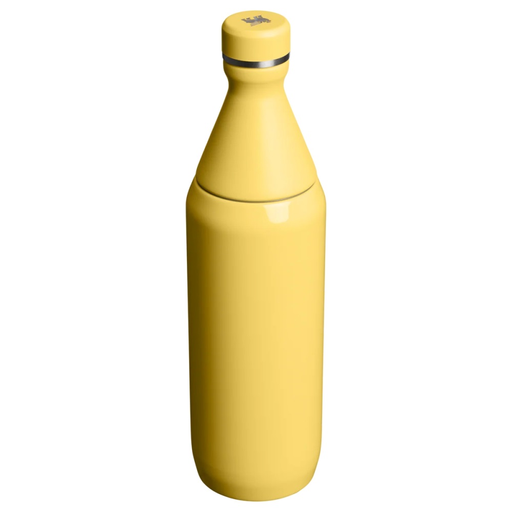 STANLEY ALL DAY SLIM BOTTLE 0.6L (20OZ) - 6H COLD | 11H ICED