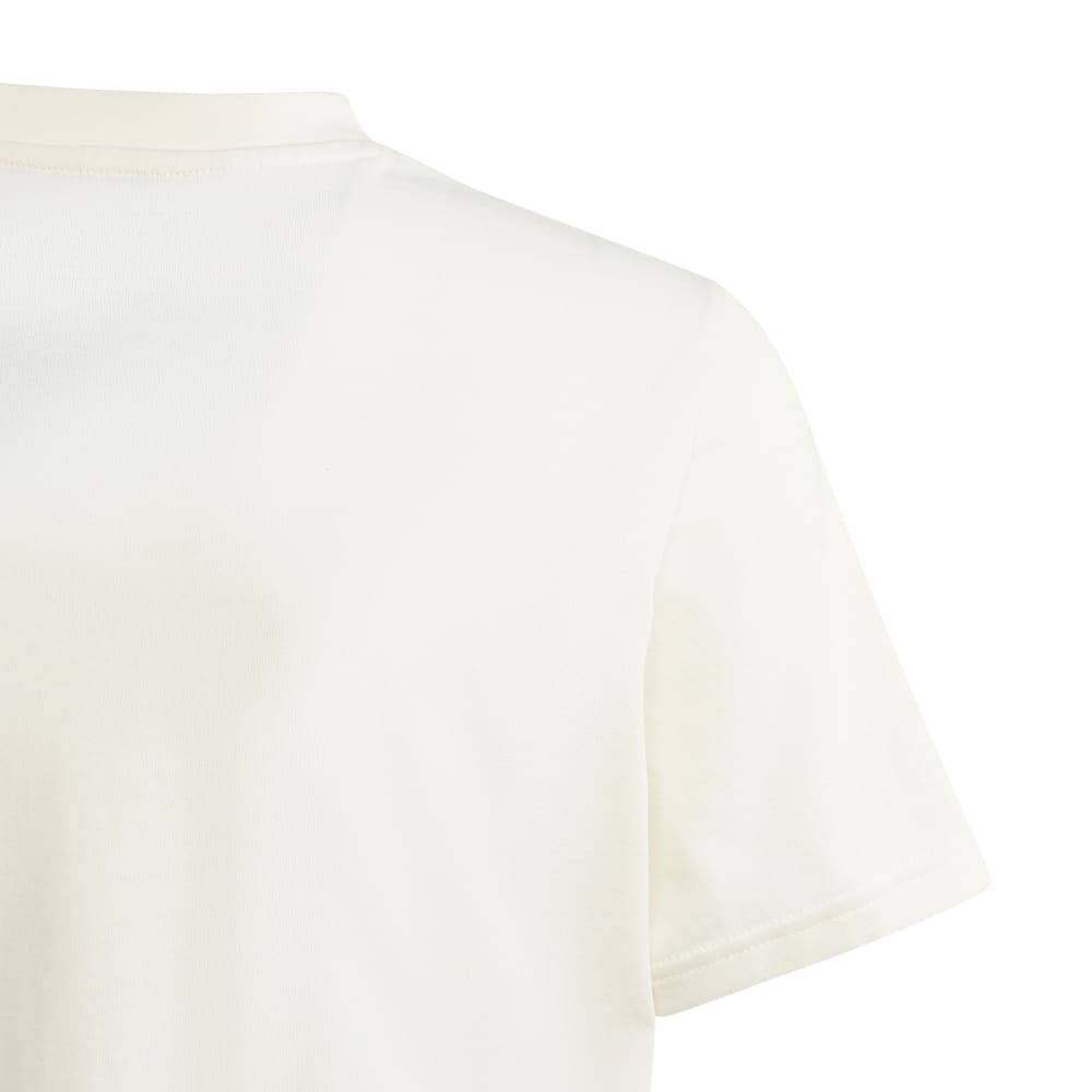 ADIDAS GFX GROWTH TEE