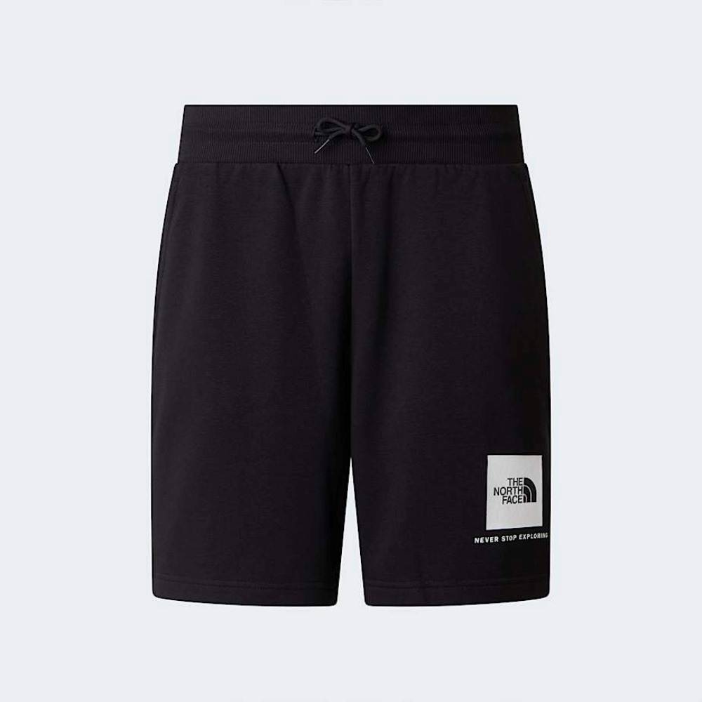 THE NORTH FACE M BOX NSE LIGHT REGULAR SHORTS