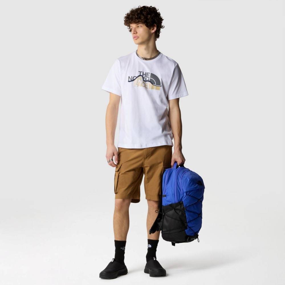THE NORTH FACE MENS S/S MOUNTAIN LINE TEE