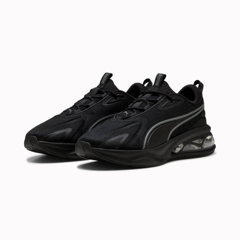 PUMA CELL SOLAR