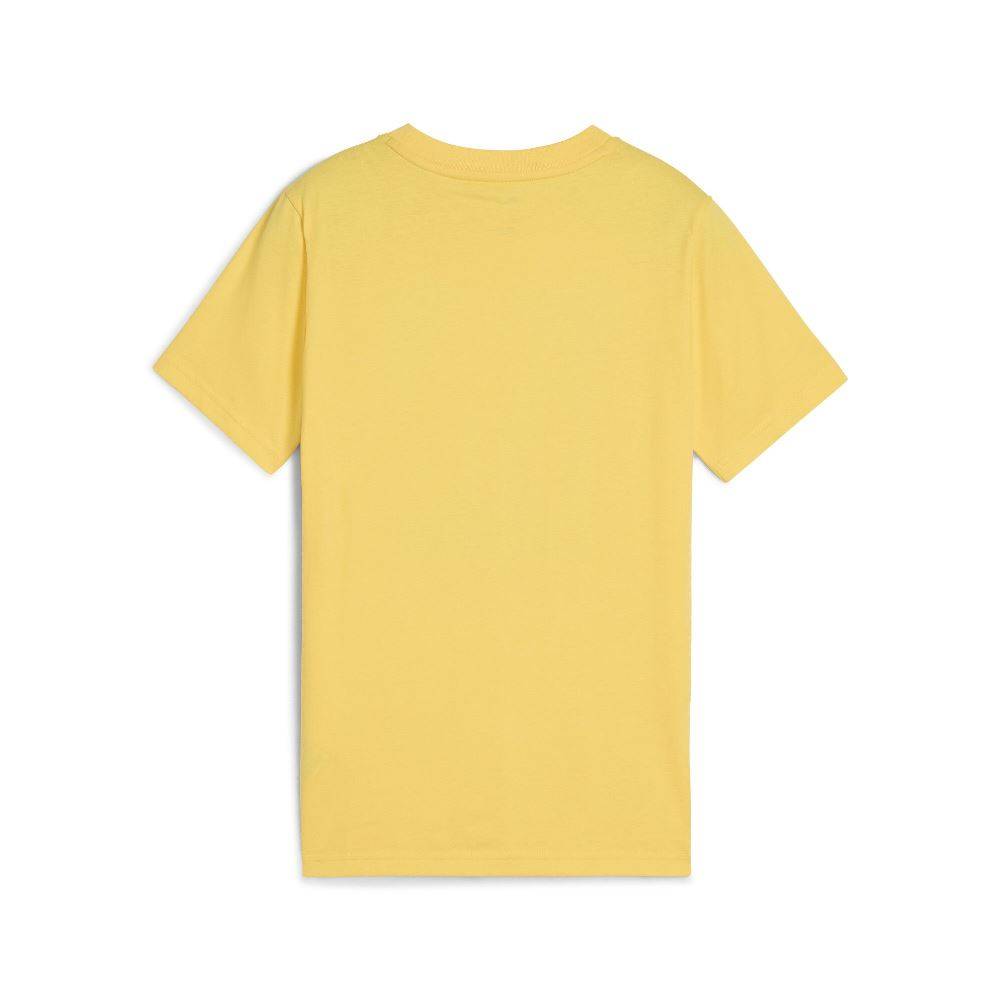 PUMA GRAPHICS TEE I B