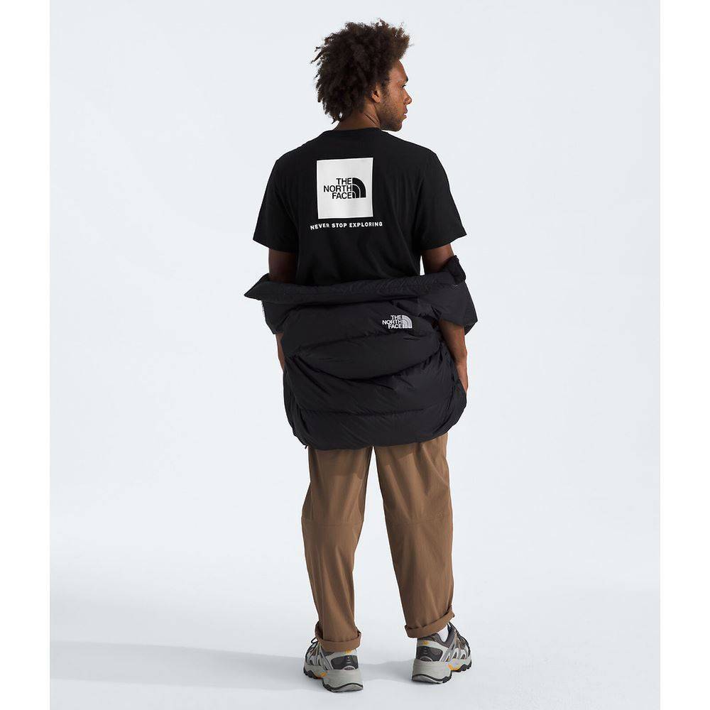 THE NORTH FACE M EVOLUTION BOX NSE REGULAR SHORT SLEEVE TEE