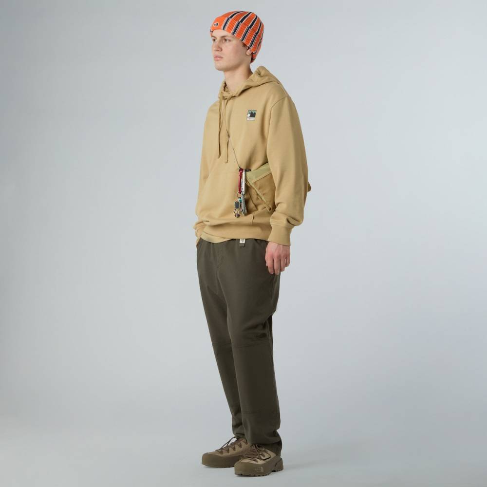 THE NORTH FACE M MOUNTAIN LOGO RELAXED HOODIE