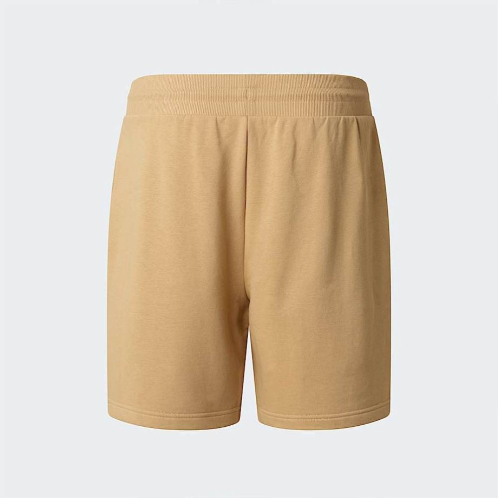THE NORTH FACE M BOX NSE LIGHT REGULAR SHORTS