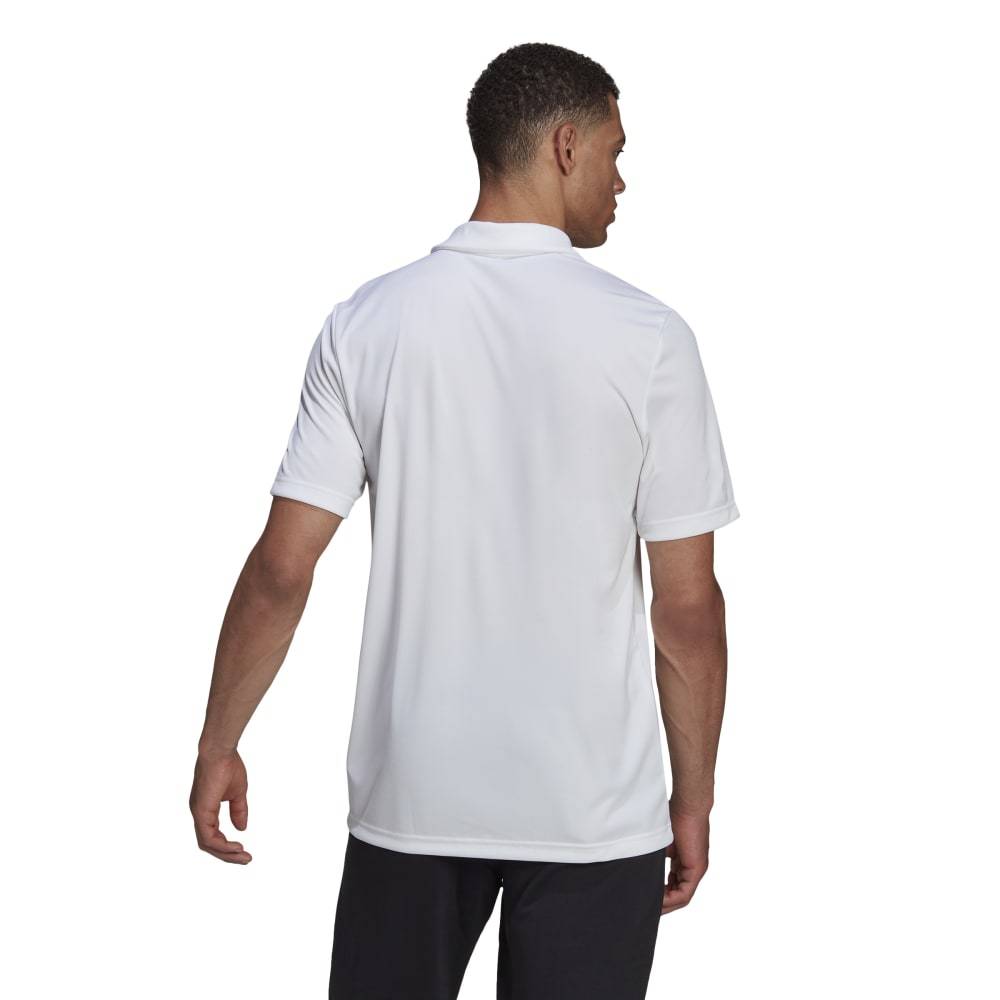 ADIDAS M ENTRADA22 POLO