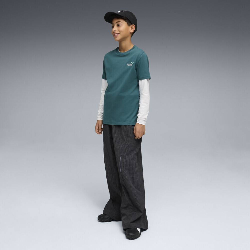 PUMA ESS 2 COLOR SMALL NO. 1 LOGO TEE B