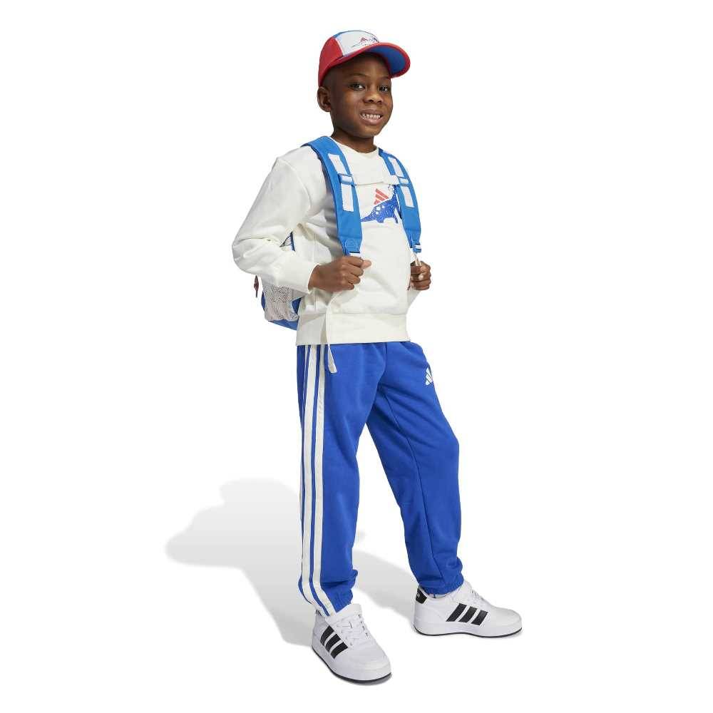 ADIDAS LITTLE KIDS SEASONAL ESSENTIALS ADIRAPTOR FLEECE JOGGER SET