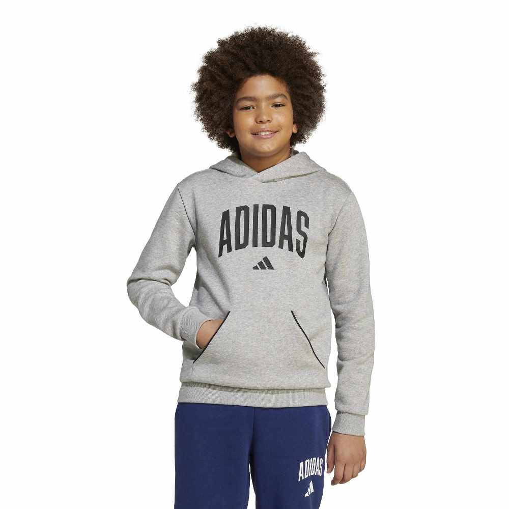ADIDAS YOUTH SEASONALS ESSENTIALS COLLEGIATE TYPOGRAPHY HOODY