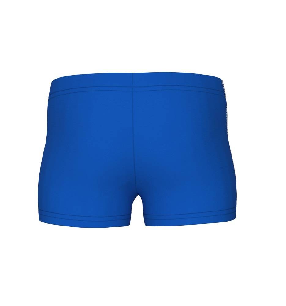 ARENA BOYS LOGO SWIM SHORT
