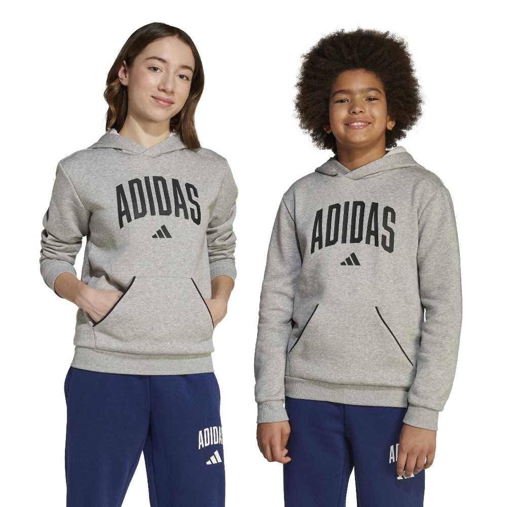 ADIDAS YOUTH SEASONALS ESSENTIALS COLLEGIATE TYPOGRAPHY HOODY