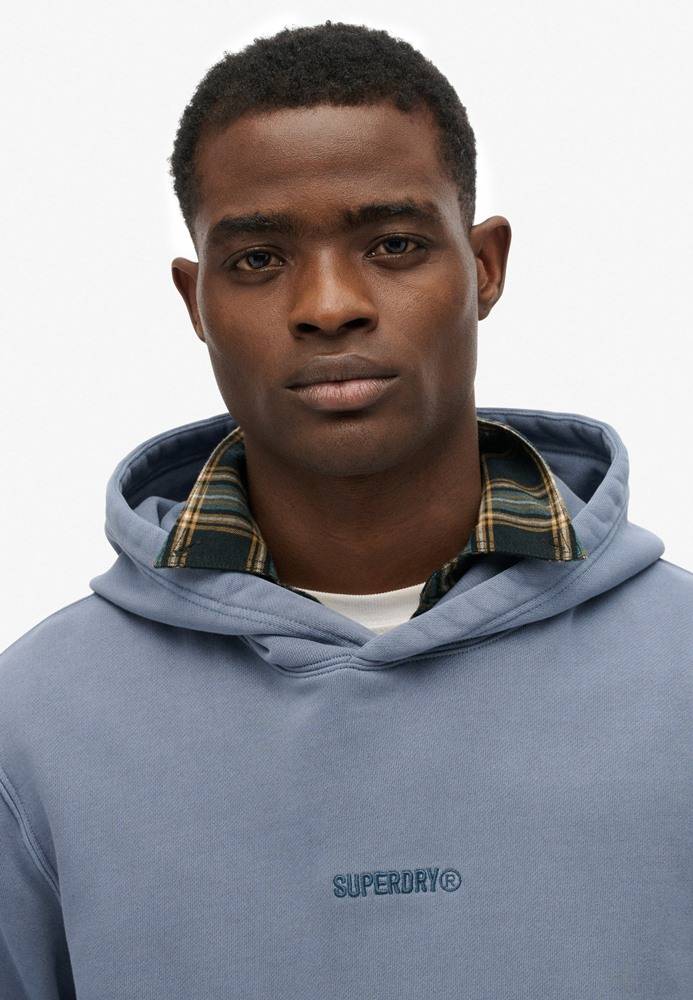 SUPERDRY MICRO LOGO HOOD