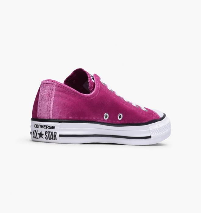 CONVERSE ALL STAR VELVET SHOE WOMENS