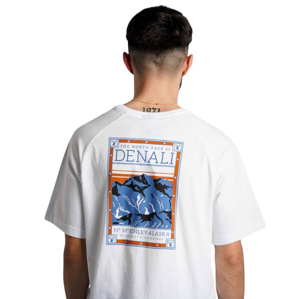 THE NORTH FACE MENS S/S NORTH FACES TEE