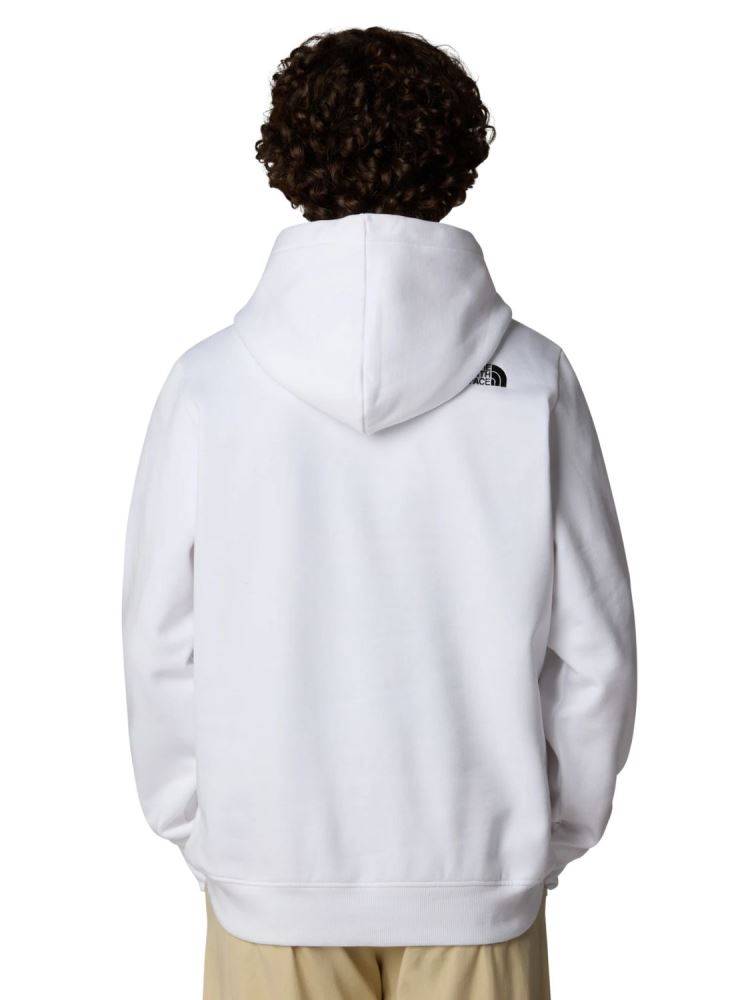 THE NORTH FACE MENS DREW PEAK PULLOVER HOODIE