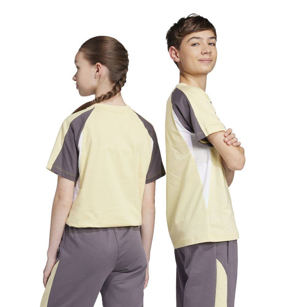 ADIDAS YOUTH SEASONAL ESSENTIALS COLORBLOCK T-SHIRT