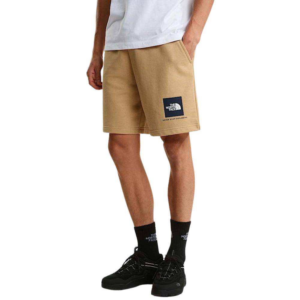 THE NORTH FACE M BOX NSE LIGHT REGULAR SHORTS