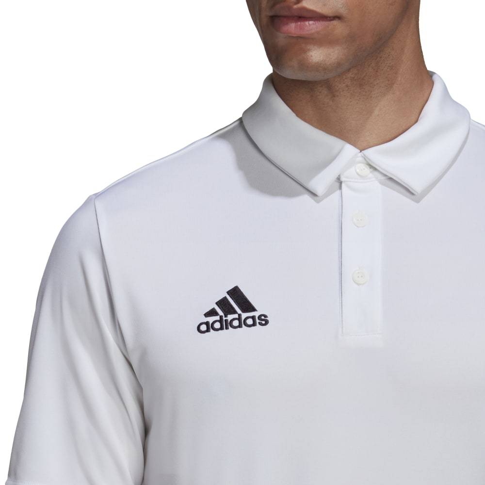 ADIDAS M ENTRADA22 POLO