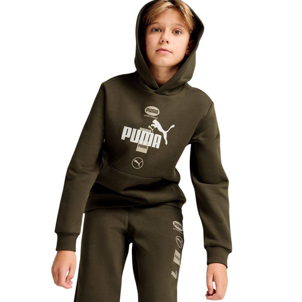 PUMA POWER GRAPHIC HOODIE FL B