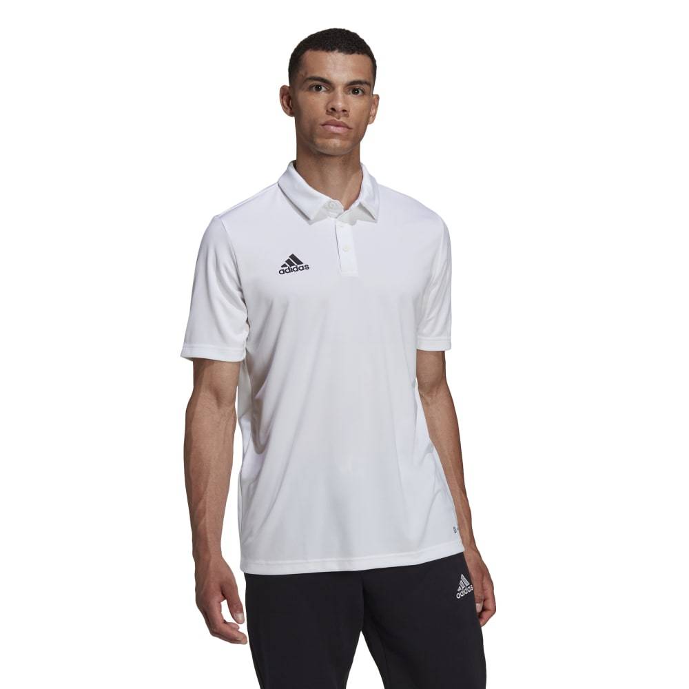 ADIDAS M ENTRADA22 POLO