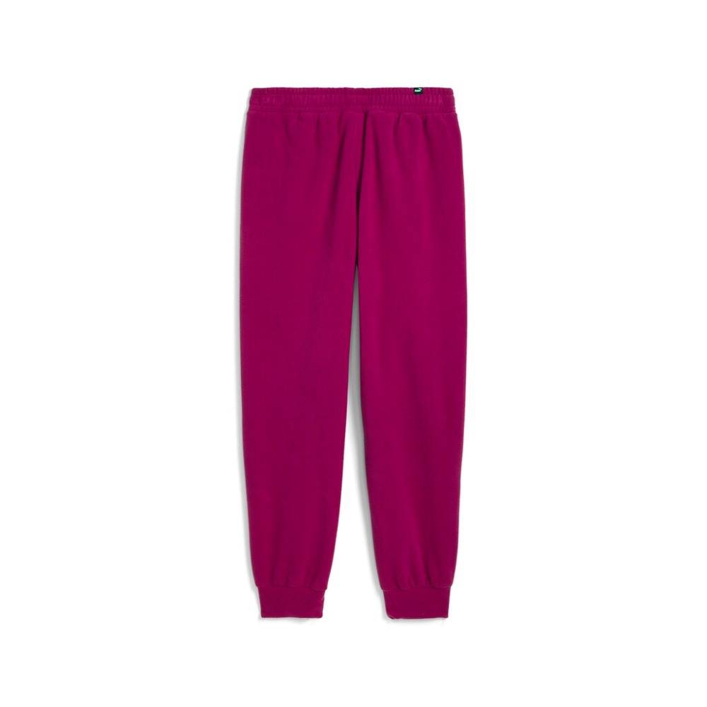 PUMA ESS ELEVATED WINTERIZED PANTS