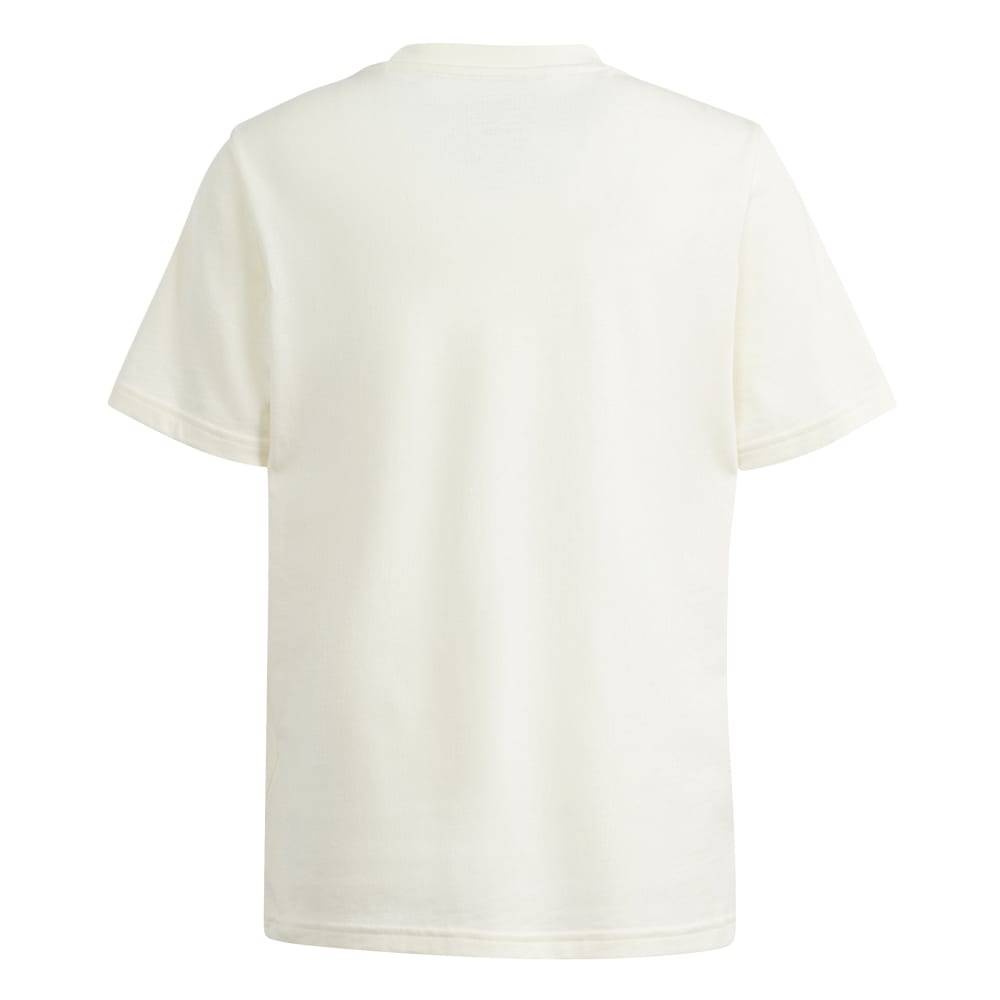 ADIDAS GFX GROWTH TEE