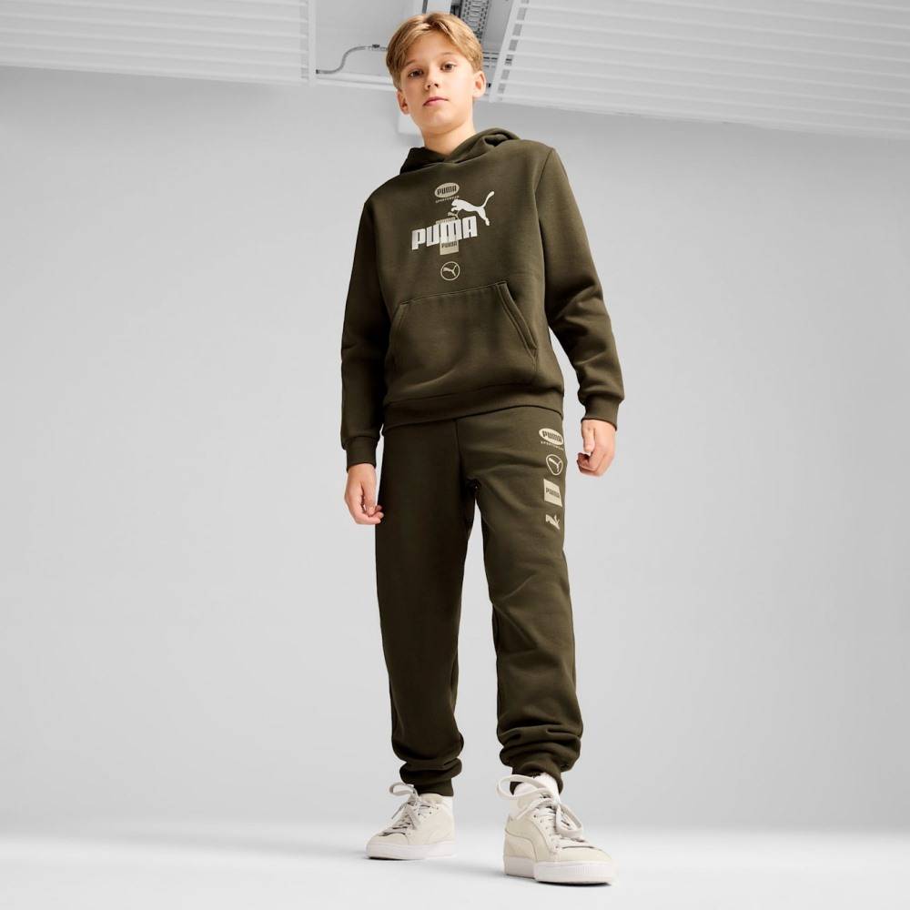 PUMA POWER GRAPHIC HOODIE FL B